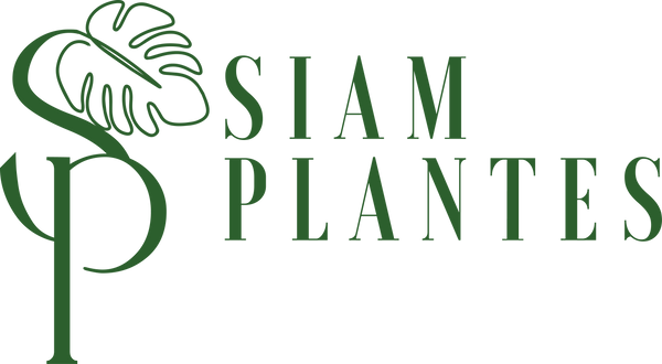 Siamplantes